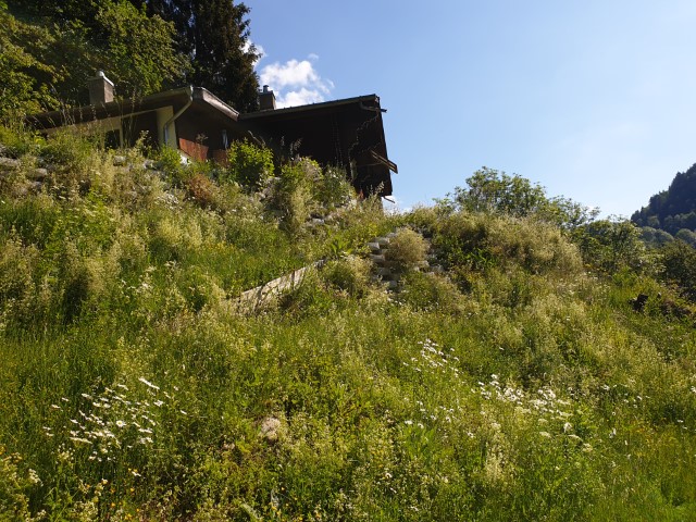 Vue Sud Ouest
